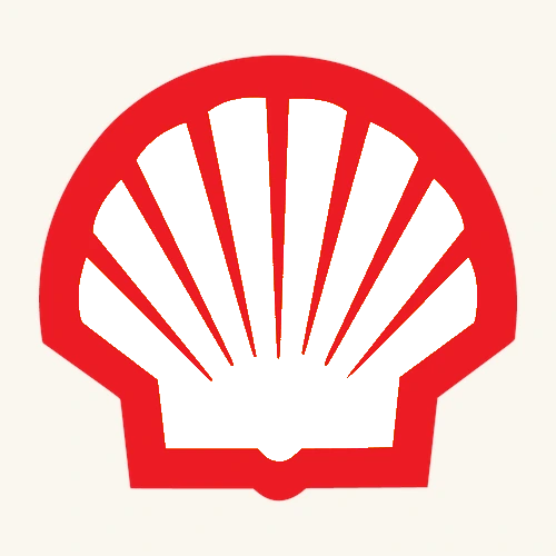 Shell yellow and red pecten scallop