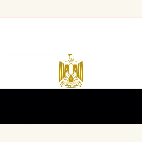 Flag of Egypt, red white black with eagle